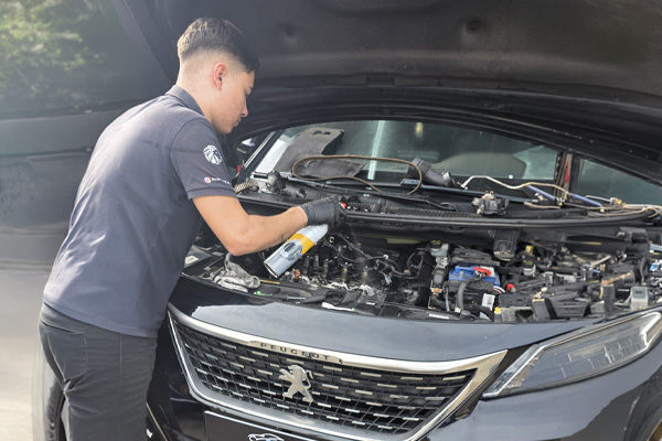 Revisões gerais na BIS Motors